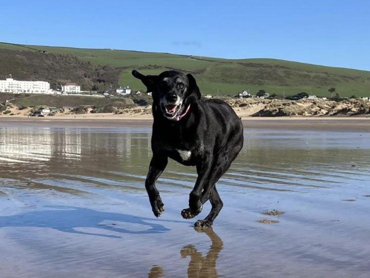 Croyde Thatchers Hideaway 2 Bedrooms Εξωτερικό φωτογραφία
